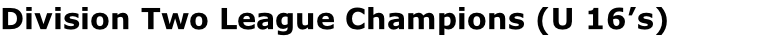 Division Two League Champions (U 16’s)